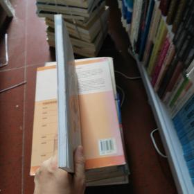 高等院校動畫專業系列教材 動漫產業分析與衍生產品研發——紡織品研發